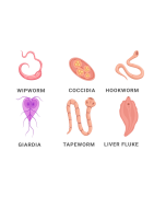 Anti-parasitic protection